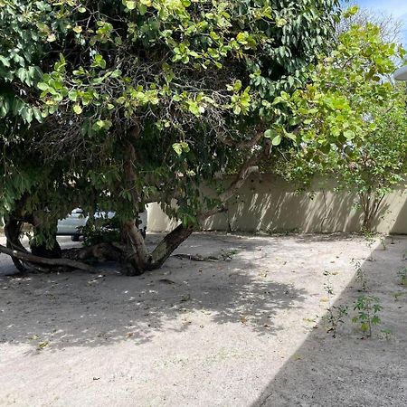 Recanto Das Aroeiras Alcobaca Exterior photo
