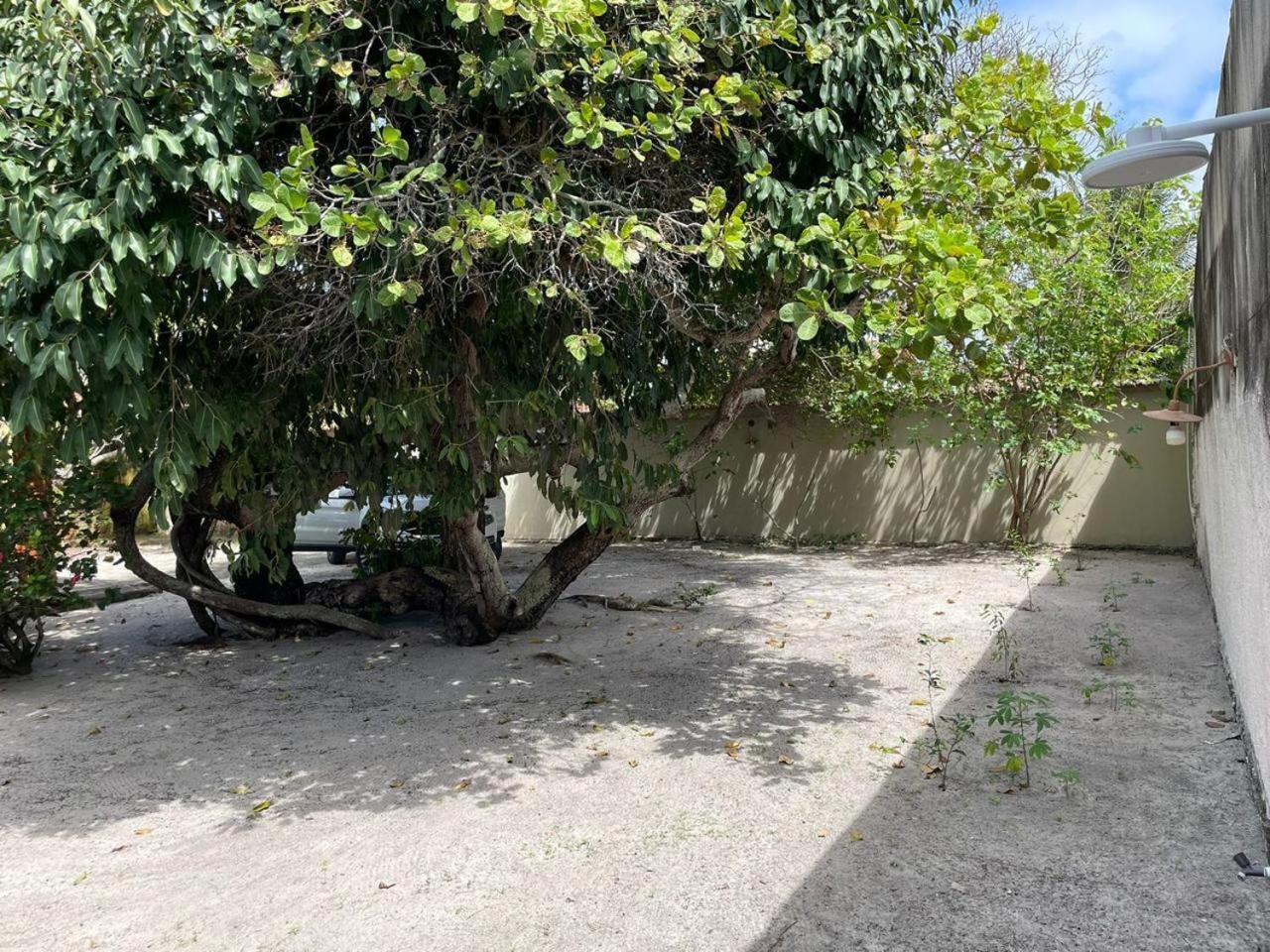 Recanto Das Aroeiras Alcobaca Exterior photo