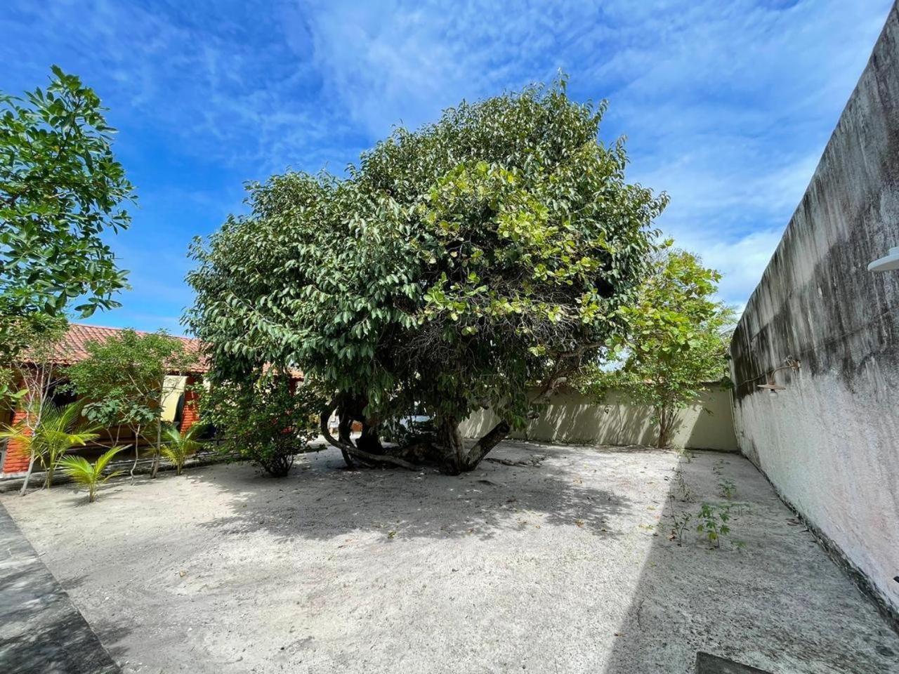Recanto Das Aroeiras Alcobaca Exterior photo